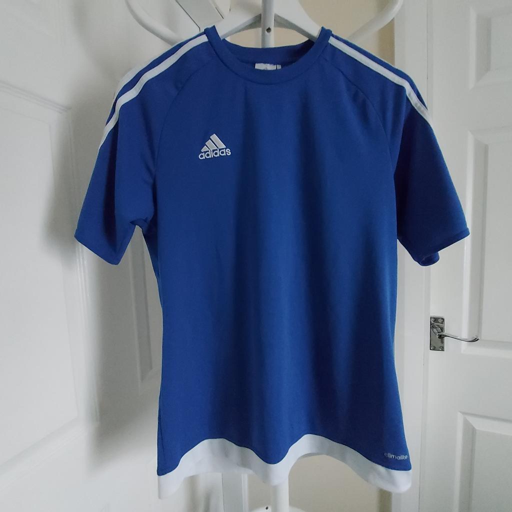 T-Shirt"Adidas"Climalite

 Blue Colour

 Good Condition

Actual size: cm and m

Length: 67 cm front

Length: 68 cm back

Length: 45 cm from armpit side

Sleeve length: 36 cm

Volume hands: 51 cm

Volume bust: 99 cm – 1.02 m

Volume waist: 90 cm – 1.00 m

Volume hips: 95 cm – 1.04 m

Size: M (UK) Eur M,US M

Main Material: 100 % Polyester

Made in Vietnam