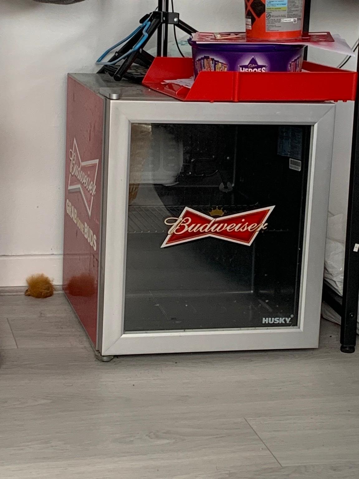 Budweiser mini fridge in TW4 London für 50,00 £ zum Verkauf Shpock DE