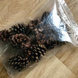 Assorted pinecones, ranging from 1.5” to 2” in length. Disinfected and heat treated, ready for ornamental or craft use.