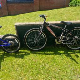 Two bikes suitable for boys and girls.
Both have gears
Can offer 