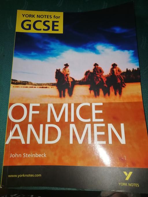 Buy & Sell West Midlands Birmingham - Photos for Of Mice and Men GCSE book