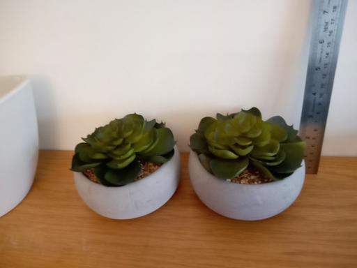 Buy & Sell Reading Shinfield - Reading - Photos for Pair of Imitation Sedum Pots 