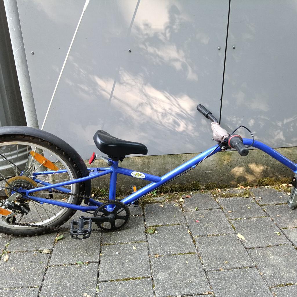 Nachläufer Fahrradanhänger Kinder in 8301 Laßnitzhöhe for €80.00 for ...
