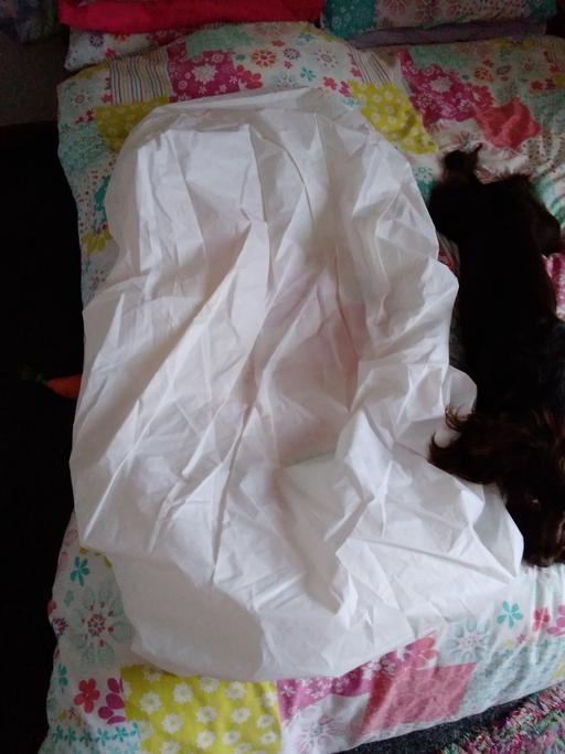 Buy & Sell Radcliffe Bury - Photos for waterproof sheet