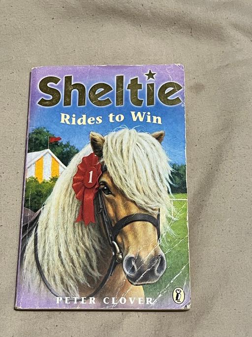 Buy & Sell Kent Maidstone - Photos for Sheltie Rides to Win