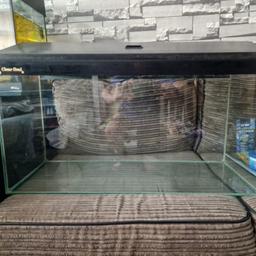 Hi here I am selling one of my fishtank as I'm closing down all my tanks I have reduced it to clear if interested leave a message.

Thanks
