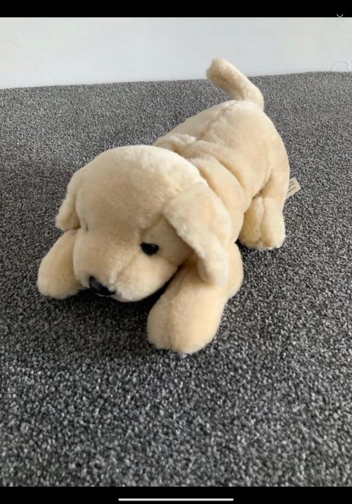 Buy & Sell County Durham Thornley - County Durham - Photos for Soft toy andrex puppy