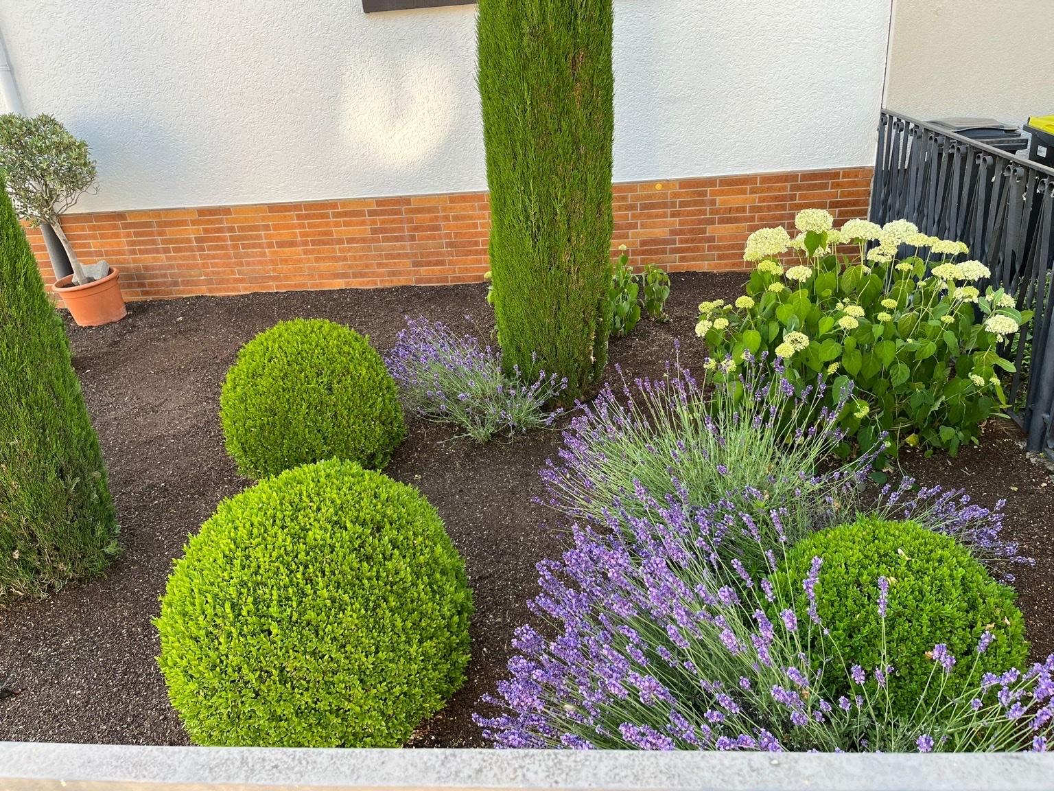 Pflege rund ums Haus und um den Garten in 67227 Frankenthal (Pfalz) für