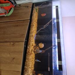 5ft by 2ft fish tank and stand.
comes with gravel
x2 filters
x2 heaters
led light
no lid
x7 discus fish
x6 bleeding heart tetras
x6 clown loaches
x6 siamese algae eaters
x6 bolorian rams

Will not go in a car need a van and 2-3 heavy men to lift.
was a marine tank so very heavy