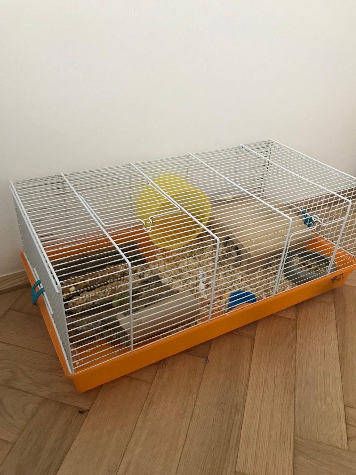 Käfig + Zubehör + hamsti in 1200 Wien für 29,00 € zum Verkauf | Shpock DE