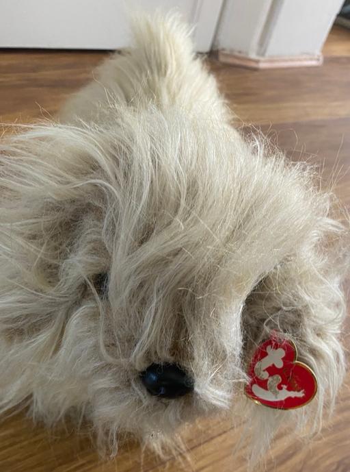 Buy & Sell West Midlands Birmingham - Photos for Ty duster buddy