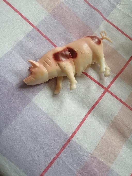 Buy & Sell South Yorkshire Barnsley - Photos for pig toy