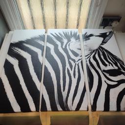 zebra canvas, 3 piece