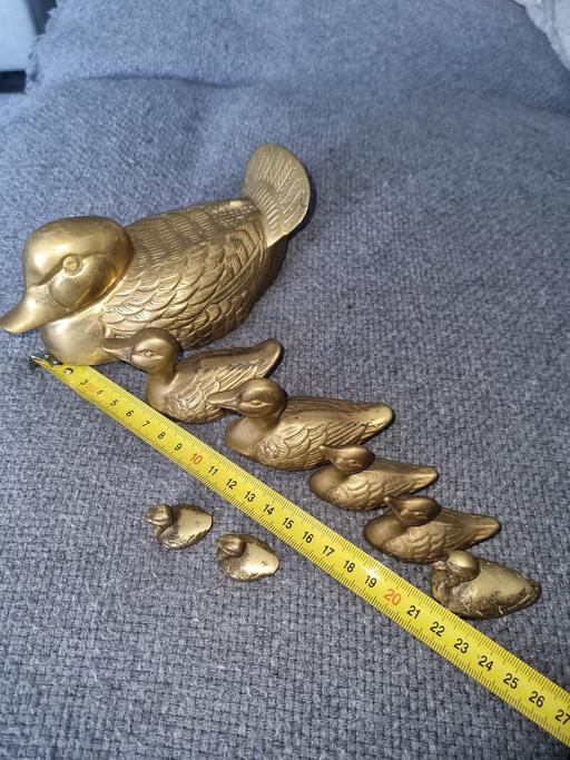 Buy & Sell Willenhall Walsall - Photos for Brass bird bundle
