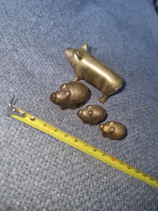Buy & Sell Willenhall Walsall - Photos for Brass pigs 🐖