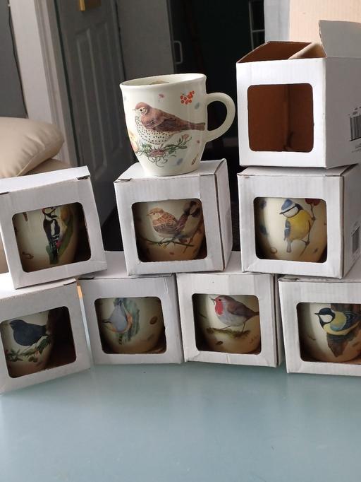 Buy & Sell Derbyshire Chesterfield - Photos for 8 bird cups