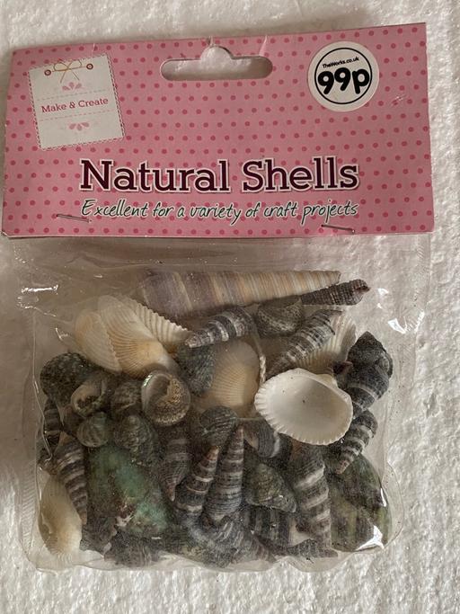 Buy & Sell - Photos for Natural shells.