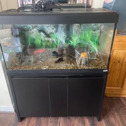 3ft fish tank and accessories 3 air pumps 1 filter  1 heater gravel few ornaments and bog wood 1 back ground