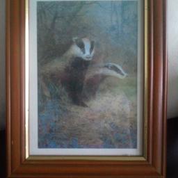 framed wild life prints by Gordon Beningfield approx size 8" h x 6 w self standing £6 each pick up only Gargrave