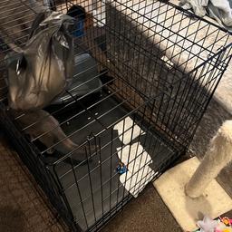 Large dog crate single door . Bought from Pets at Home. Used for my 3 cat’s recovery after speying. 

Will be folded down and cleaned and sterilised before you collect. 

Dimensions are H77.47 x W72.39 x L107.9cm. 

Rrp is £47.99. Useful for protecting your pet after surgery etc. 

Price - I’ll give it away for free.

cats and litter tray not included!