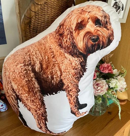 Buy & Sell Nottinghamshire Ashfield - Photos for NEW Cock-a-Poo Shaped Cushion