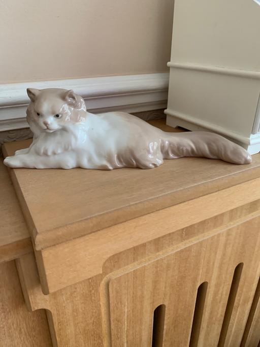 Buy & Sell Essex Thurrock - Essex - Photos for NAO Cat Laying Down