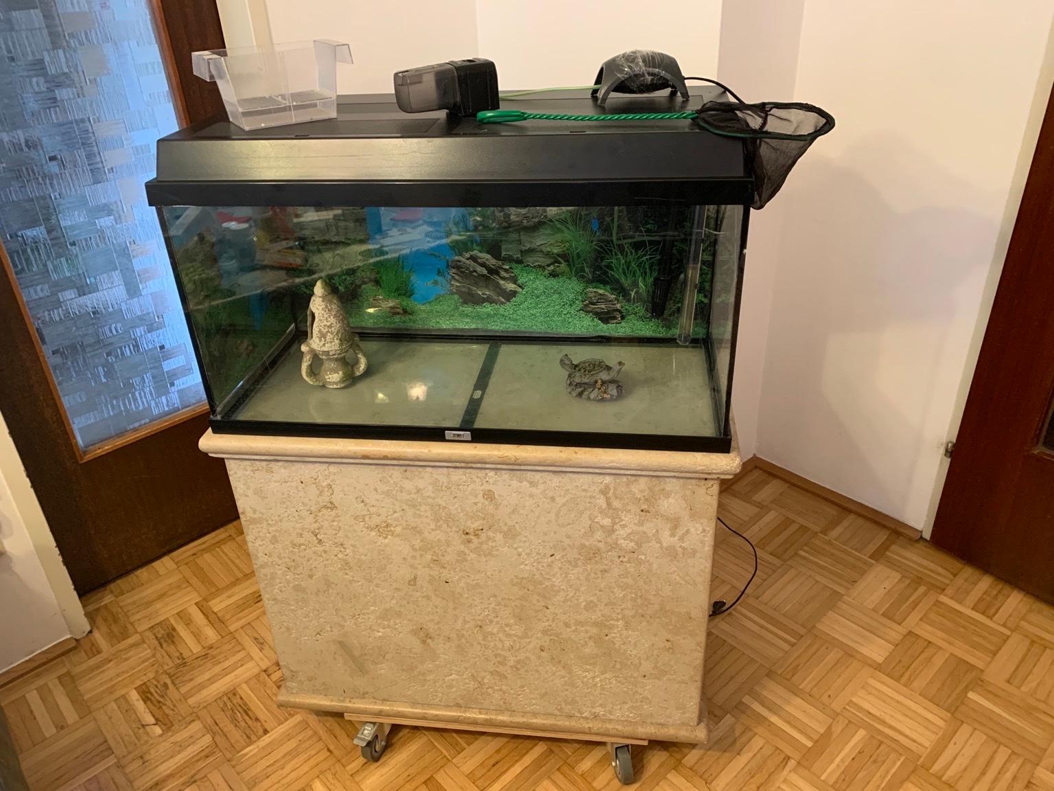 Wunderschne Ebay Kleinanzeigen Aquarium Bildnull