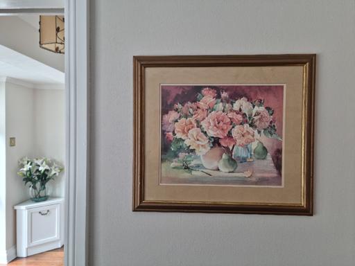 Buy & Sell Hertfordshire Dacorum - Photos for Picture (Peach China Roses)