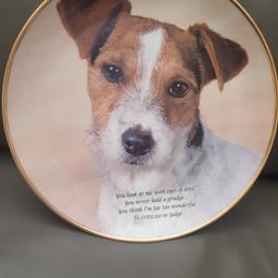 JACK RUSSELL COLLECTORS PLATE "EYES OF LOVE" APPROX 8" IN DIAMETER, PRETTY PLATE IN VERY GOOD CONDITION. £10.