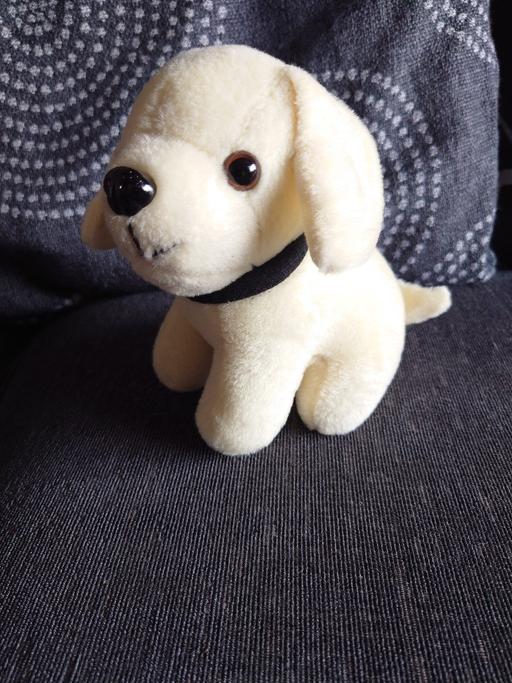 Buy & Sell Leicestershire Charnwood - Photos for Dog soft toy