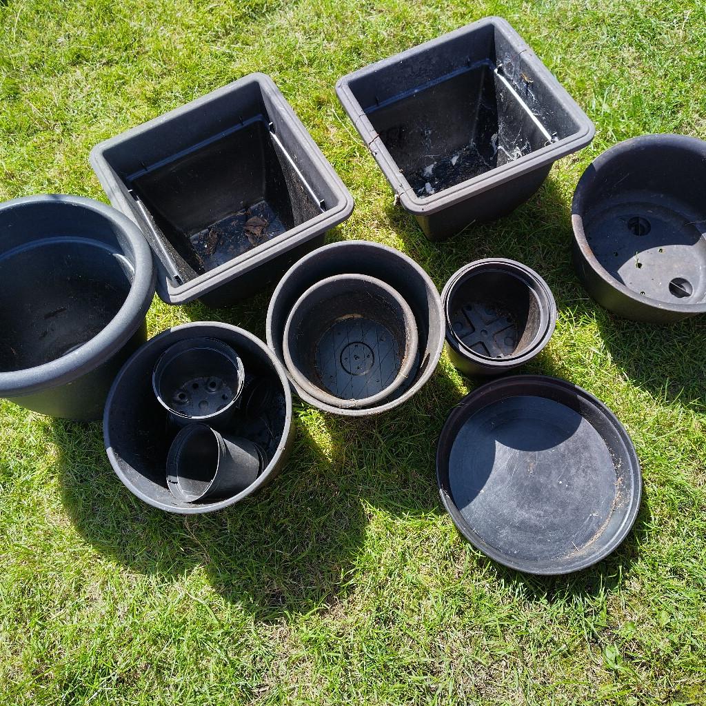 Black Plastic Plant Pots in B31 Birmingham for free for sale Shpock