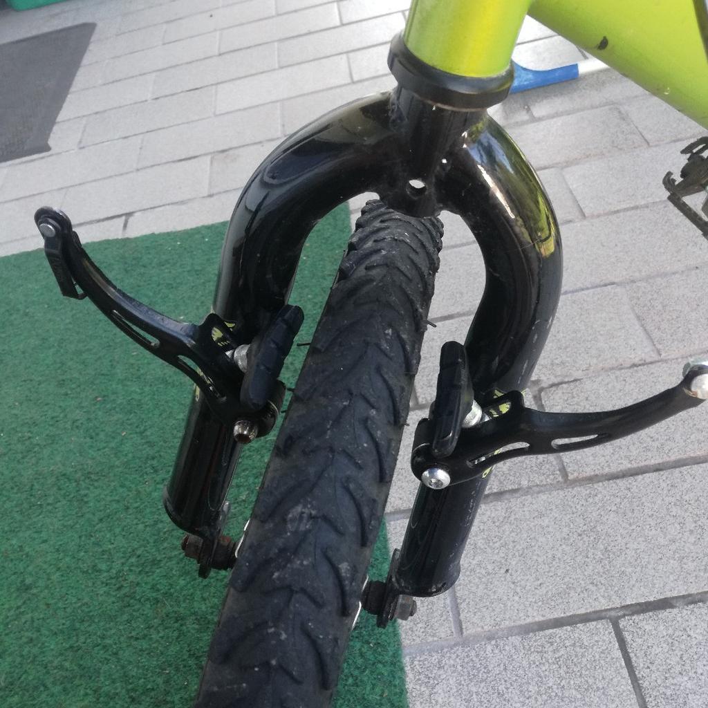 Avigo recon clearance