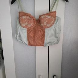 Brand New, only tried on but never worn out. Urban Outfitters Corset. It is mint green and brown in colour. Size Large I would say a 12 to 14.
From a pet and smoke free home.
Collection only from B30.