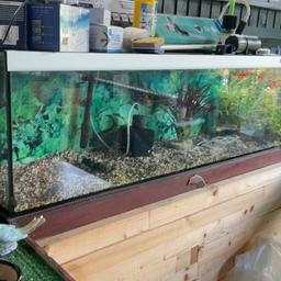 Every thing you would need, just add water and fish.
Internal/external filters with spray bars, lights, gravel + spare.
Air pumps with stones.
Sponge filters, Carbon blocks, water testing kit, holiday feeders + much more.
Used to breed koi fry, during pandemic, no longer needed
CASH ON COLLECTION ONLY.
No time wasters/scammers please