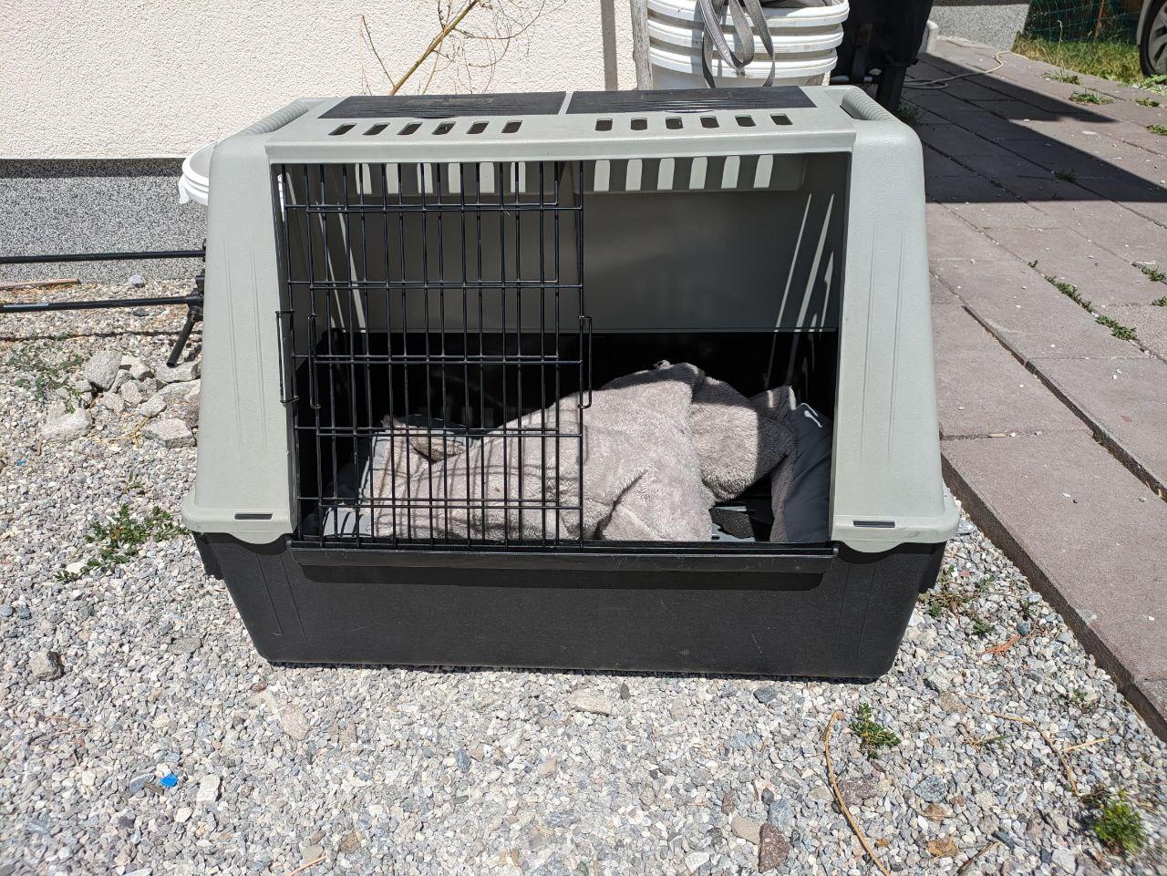 DOGHEAD Hundetransportbox Alu 55x65x55cm - Ecoline Schwarz/silber Für Kleine Hunde