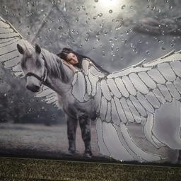 mirrored frame pegasus wall art size 1 metre x 60cm excellent condition delivery available or welcome to collect