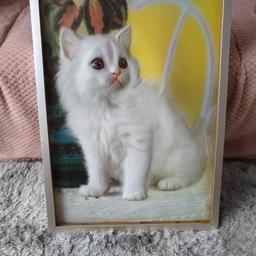 vintage 3D cat picture super Kitsch.
very life like
height 67 cm
width 48 cm
beautiful item
collection only