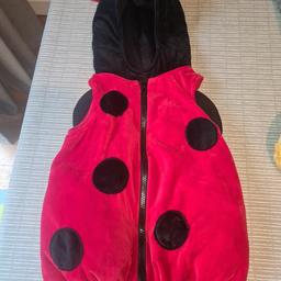 Cutest little ladybird costume for your favourite toddler. I used this once, just as a Halloween costume for an hour.