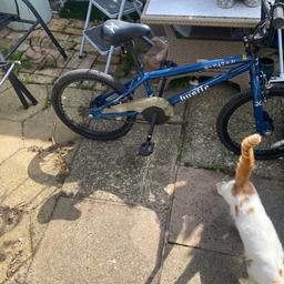 BMX bike been sat in shed very light use needs tyres blown up