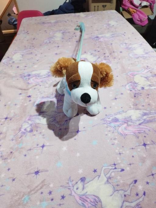 Buy & Sell Warwickshire Stratford-on-Avon - Photos for Dog soft toy