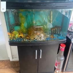 120l fish pod fish tank it has 2 led lights and there is storage in the stand.