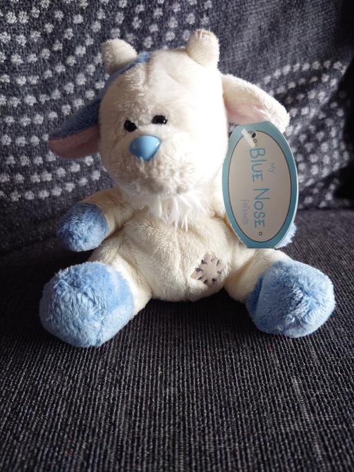 Buy & Sell Leicestershire Charnwood - Photos for Blue nose - Zee Zee soft toy