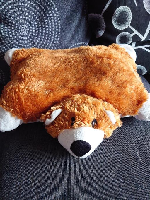 Buy & Sell Leicestershire Charnwood - Photos for Dog pillow/soft toy