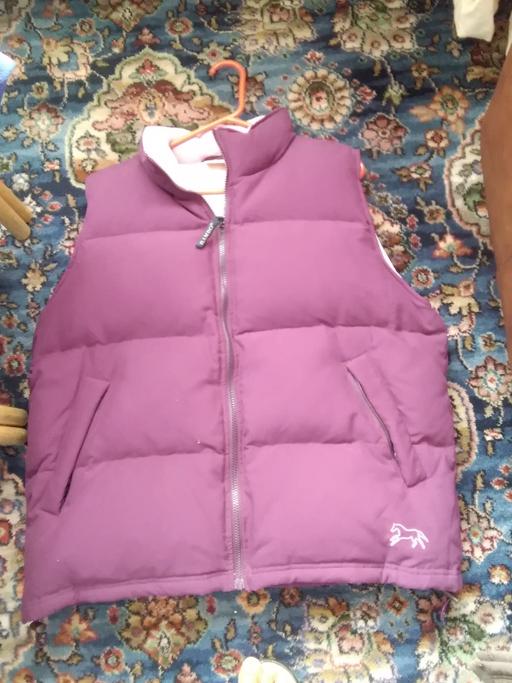 Buy & Sell Greater Manchester Rochdale - Photos for horse ware bodywarmer size large