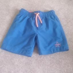 Boys Blue Swim Shorts

Age 3-4yrs