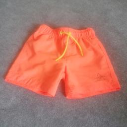 Boys Orange Swim Shorts

Age 2-3yrs