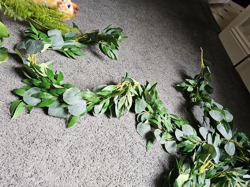 Buy & Sell Blackburn Blackburn with Darwen - Photos for fake eucalyptus garland wirh willow leaves