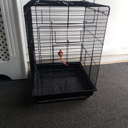 parrot/budgie cage
black metal plastic base.no pull out tray
birds cant fly out of bottom as has metal shelf