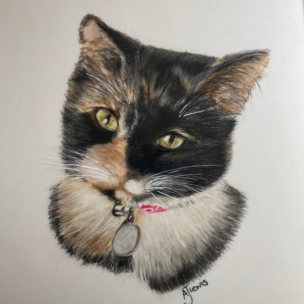I am a local artist and specialise in pet portraits. These can be done from photos or I can even take the photos of your loved animal/s if local. All work is completed with the best quality art products. I can use pencils, pastel pencils, pan pastels or Coloured pencils including Faber Castell Polychromos. Caran D’Ache Luminence and Derwent Lightfast.

I absolutely love drawing and love animals. A brilliant combination for an artist. My passion is in completing portraits of much loved animals and bringing 100% satisfaction to the owner. I can do memorial portraits also. I don’t charge by the hour I charge per piece. Multiple subjects are discounted. My Face book page is Himley Art or you can contact me on 07713542332 to discuss your requirements. Prices start from £95