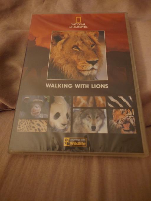 Buy & Sell Leicestershire Charnwood - Photos for Walking with lions DVD